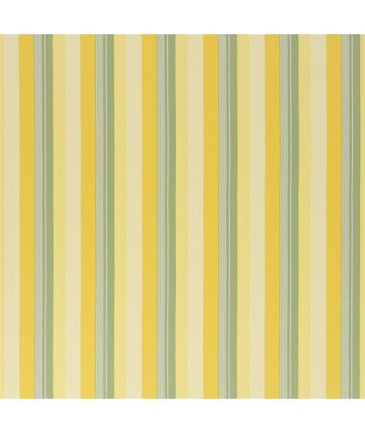 Tissu RL Greenport Stripe - Yellow/green vente chaude votre 