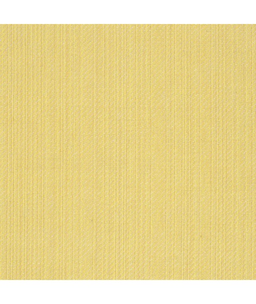 Tissu RL Jute - Primrose Jusqu'à 80% De Réduction