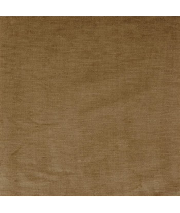 Tissu RL Linen Velvet Camel plus qu'un jeu 