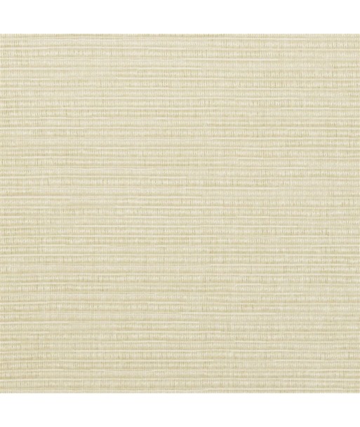 Tissu RL Mayotte Weave Bone Profitez des Offres !