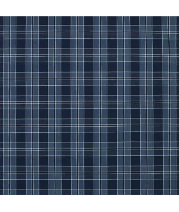 Tissu RL Mission Plaid Indigo s'inspire de l'anatomie humaine