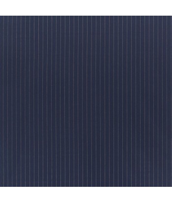 Tissu RL Rogers Stripe - Navy s'inspire de l'anatomie humaine