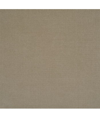 Tissu RL St Antoine Velvet - Ash En savoir plus