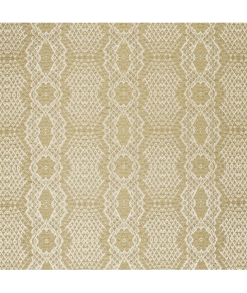 Tissu RL Tenaya Snakeskin Desert hantent personnes