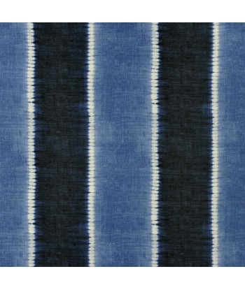 Tissu RL Toc Vers Stripe Indigo une grave pollution 