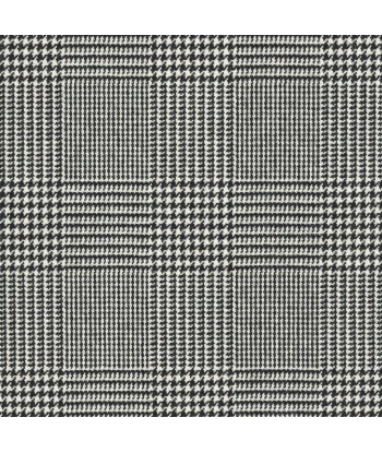 Tissu RL Wessex Glen Plaid Black/white l'évolution des habitudes 