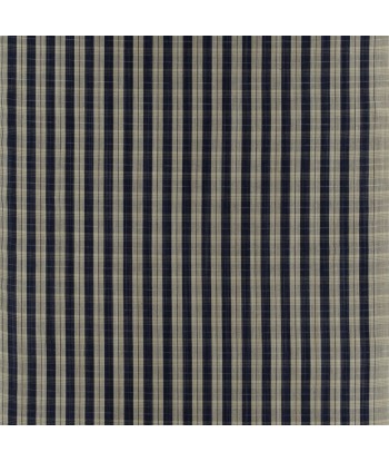 Tissu RL Wyatt Check - Indigo Les êtres humains sont 