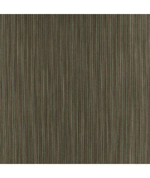 Tissu RL Zuni Stripe - Olive une grave pollution 