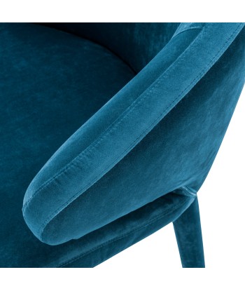 Chaise De Salle A Manger Cardinale Velours Roche Bleu Sarcelle acheter