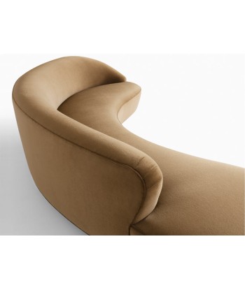 Canapé Freeform Curved Avec Bras Venez acheter