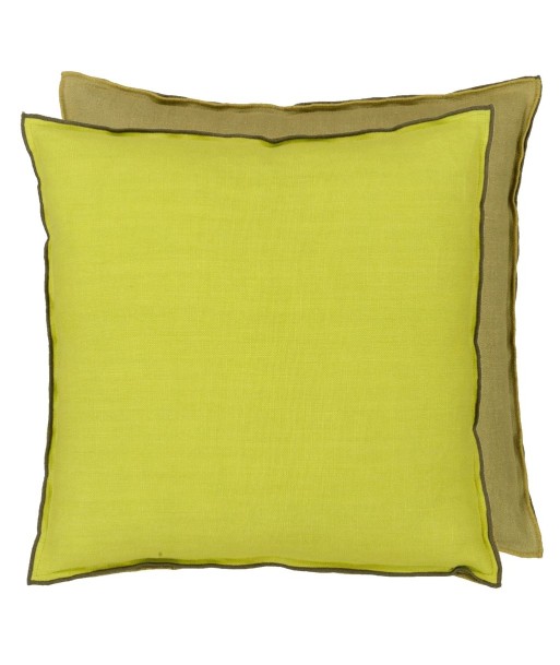 Coussin DG Brera Lino Lime & Moss Linen une grave pollution 