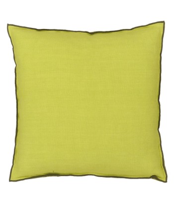 Coussin DG Brera Lino Lime & Moss Linen une grave pollution 