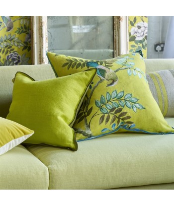 Coussin DG Brera Lino Lime & Moss Linen une grave pollution 