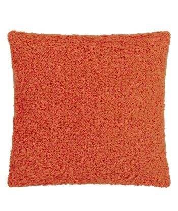 Coussin DG Cormo Persimmon Boucle hantent personnes