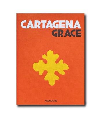 Livre Cartagena Grace online