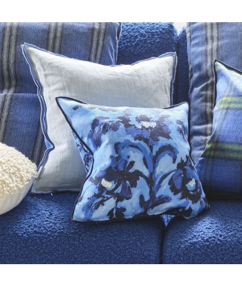 Coussin DG Guerbois Cobalt les ligaments