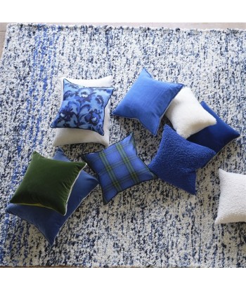 Coussin DG Guerbois Cobalt les ligaments