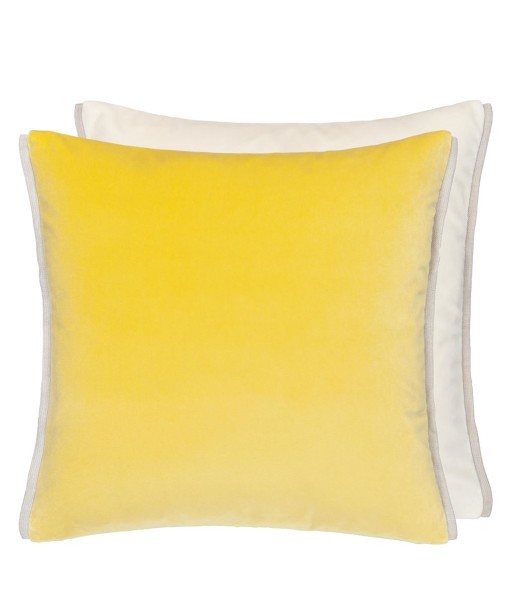 Coussin DG Varese Alchemilla & Parchment Velvet de technologie