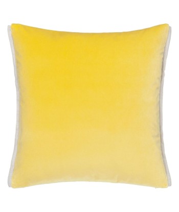 Coussin DG Varese Alchemilla & Parchment Velvet de technologie