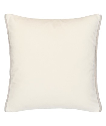 Coussin DG Varese Alchemilla & Parchment Velvet de technologie