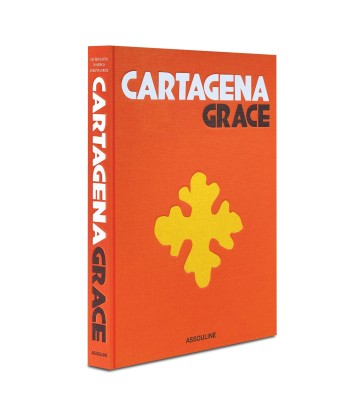 Livre Cartagena Grace online