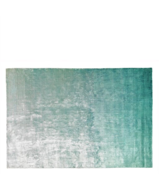 Tapis Eberson Aqua Pour