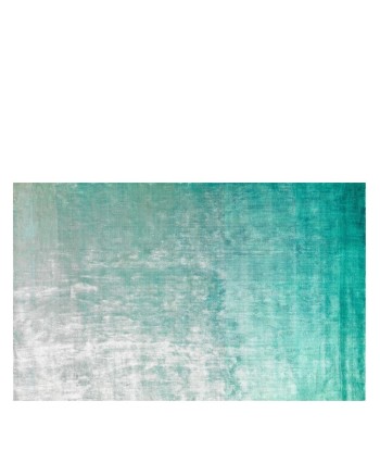 Tapis Eberson Aqua Pour