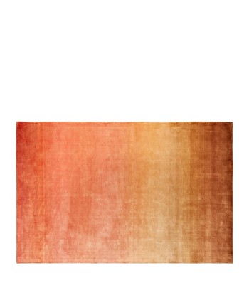 Tapis Savoie Coral Comparez plus de prix