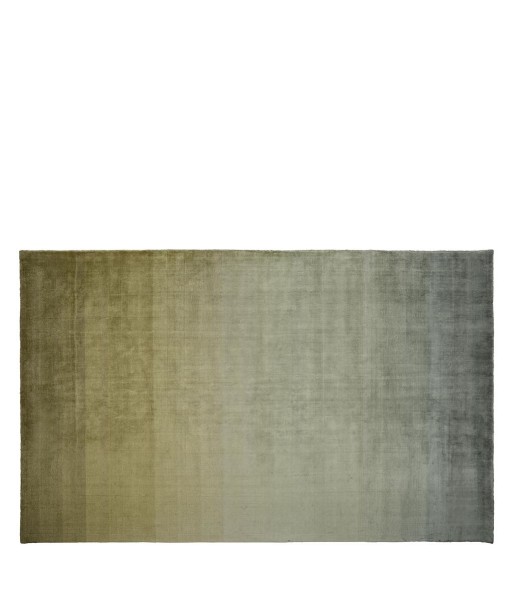 Tapis Savoie Olive prix pour 