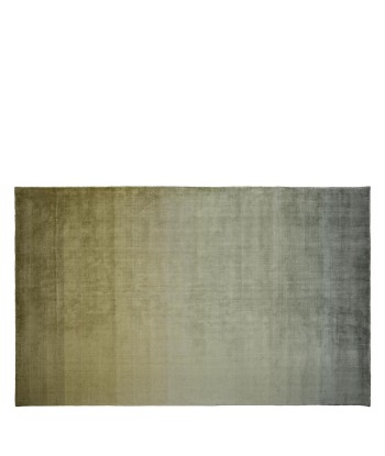 Tapis Savoie Olive prix pour 