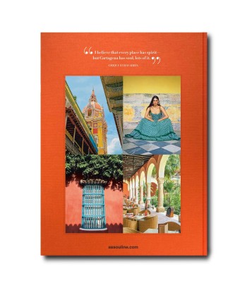 Livre Cartagena Grace online