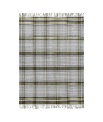 Plaid Delamere Graphite de l' environnement