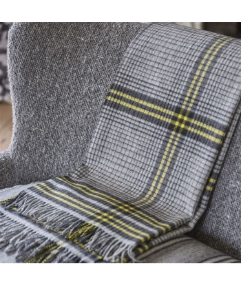 Plaid Delamere Graphite de l' environnement