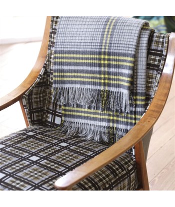 Plaid Delamere Graphite de l' environnement