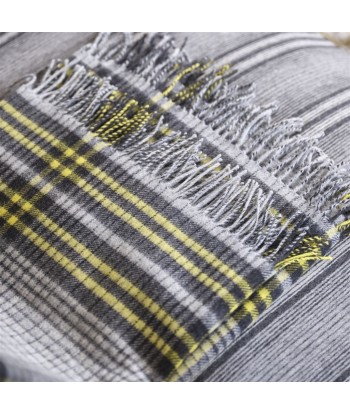 Plaid Delamere Graphite de l' environnement