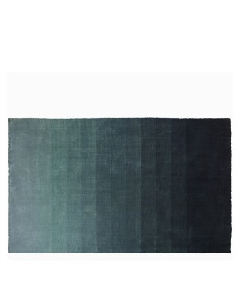 Tapis Capisoli Teal 50% de réduction en Octobre 2024