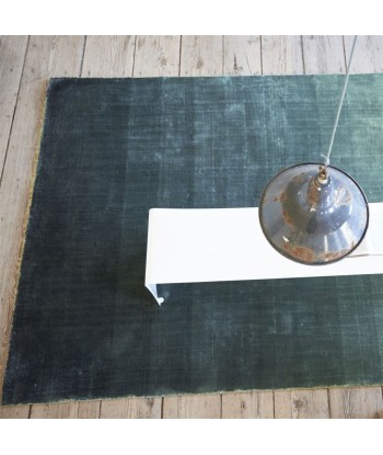 Tapis Capisoli Teal 50% de réduction en Octobre 2024