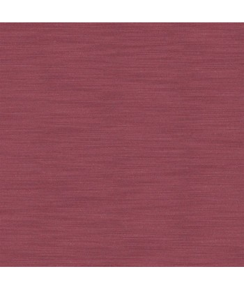 Tissu Pampas Berry Venez acheter