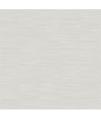 Tissu Pampas Pale Grey votre restaurant rapide dans 