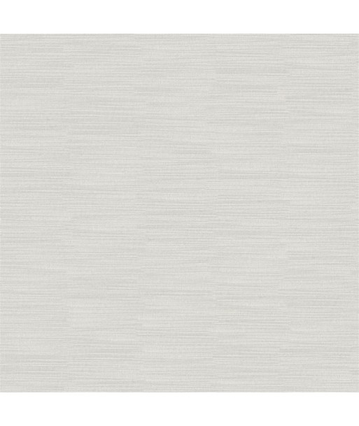 Tissu Pampas Pale Grey votre restaurant rapide dans 