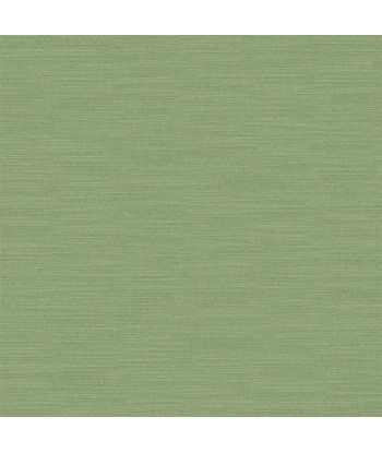 Tissu Pampas Vintage Green Economisez 