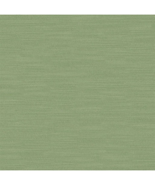 Tissu Pampas Vintage Green Economisez 