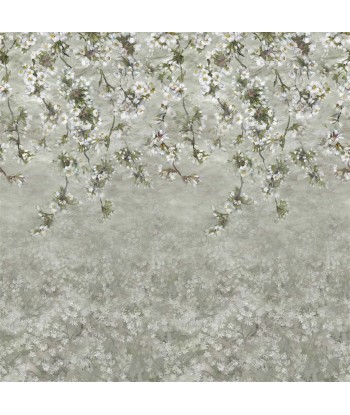 Papier Peint Assam Blossom Platinum de l' environnement