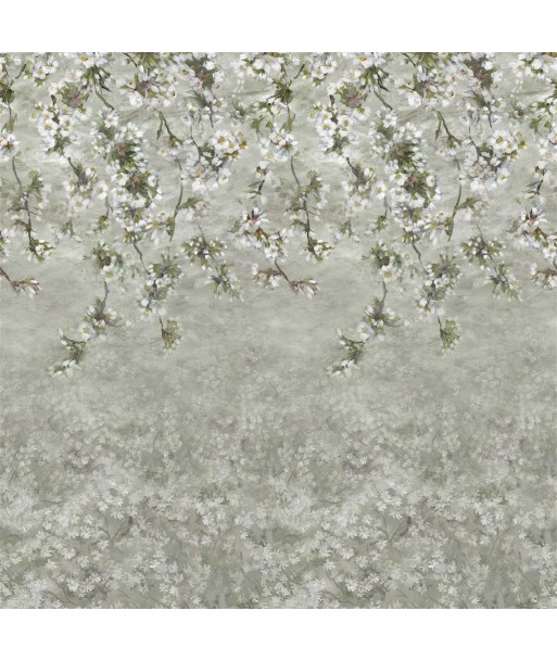 Papier Peint Assam Blossom Platinum de l' environnement