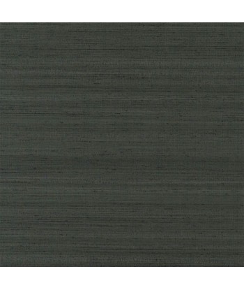 Papier Peint Chinon Gunmetal prix