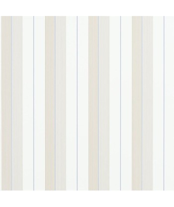 Papier Peint RL Aiden Stripe - Natural / Blue Dans la société mordern