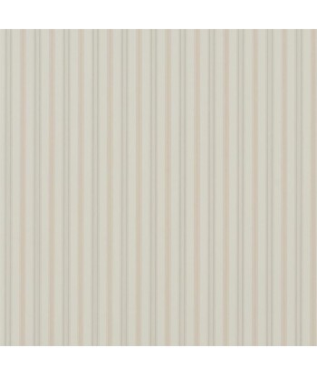 Papier Peint RL Basil Stripe - Antique Rose s'inspire de l'anatomie humaine