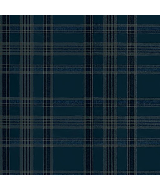 Papier Peint RL Deerpath Trail Plaid Indigo Vous souhaitez 