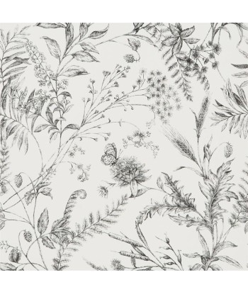 Papier Peint RL Fern Toile - Etched Black des créatures d'habitude