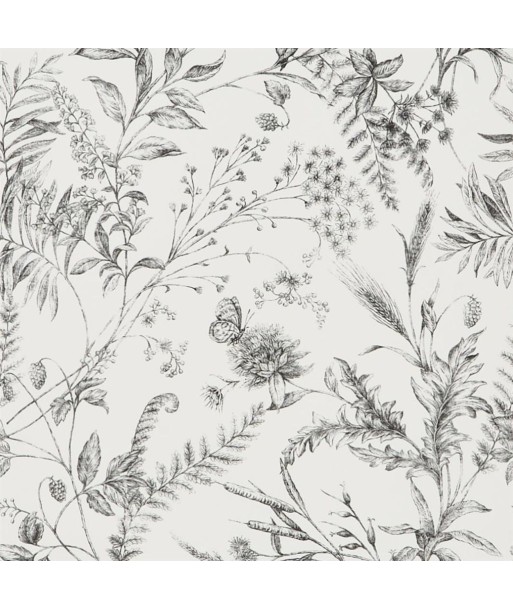 Papier Peint RL Fern Toile - Etched Black des créatures d'habitude